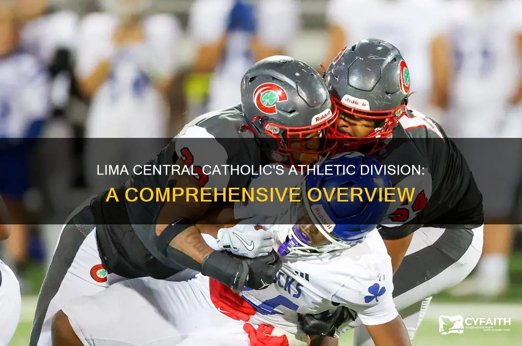 what division is lima central catholic