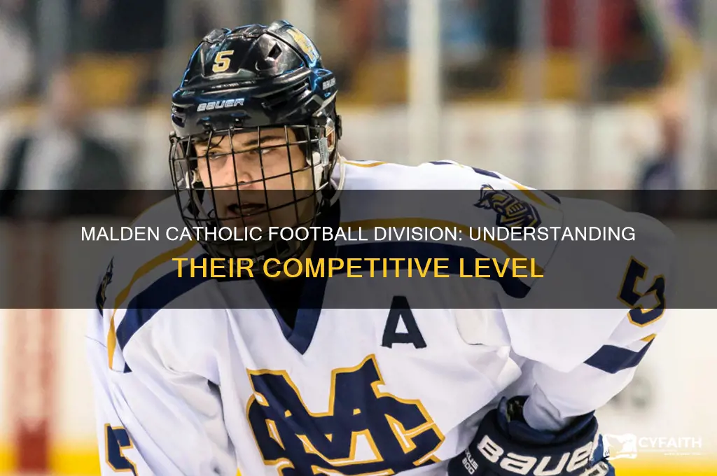 what division is malden catholic football