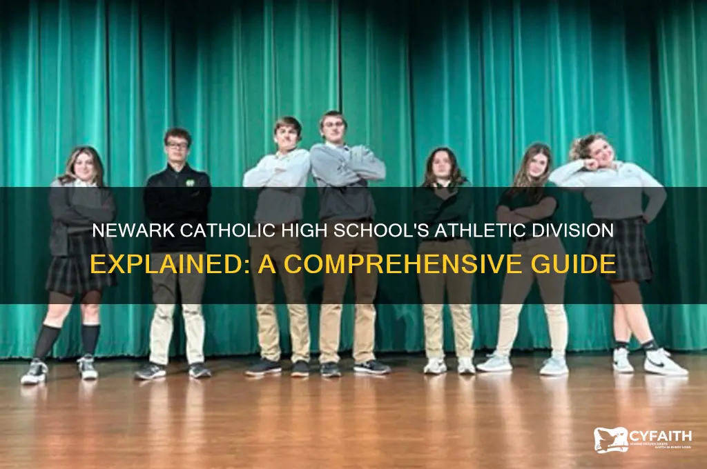 what division is newark catholic