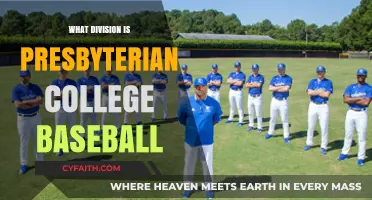 Presbyterian College Baseball Division: NCAA Classification Explained