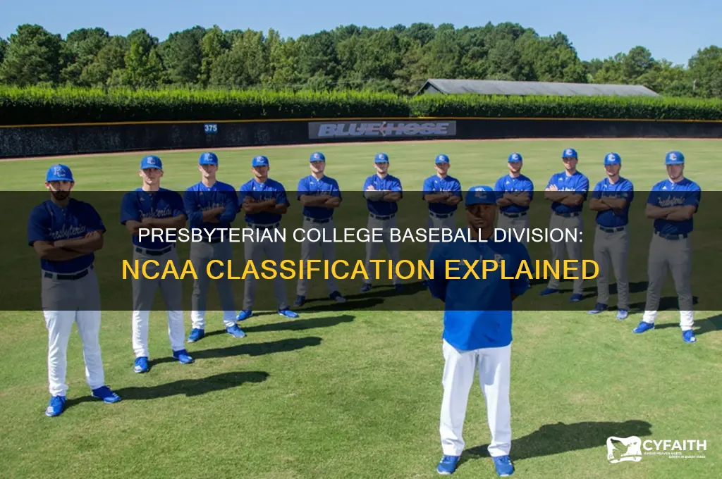 what division is presbyterian college baseball