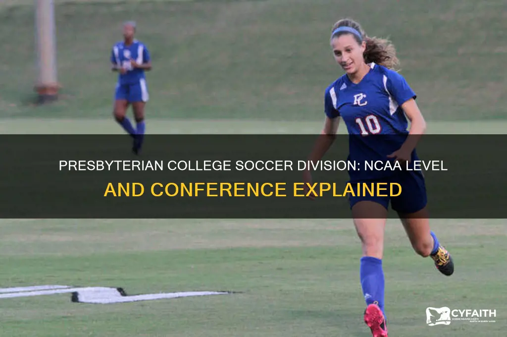 what division is presbyterian college soccer