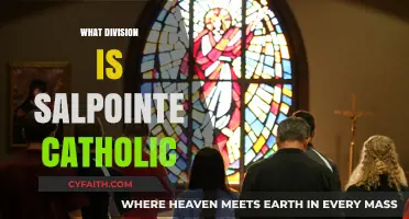 Salpointe Catholic High School's Athletic Division Explained: A Comprehensive Guide