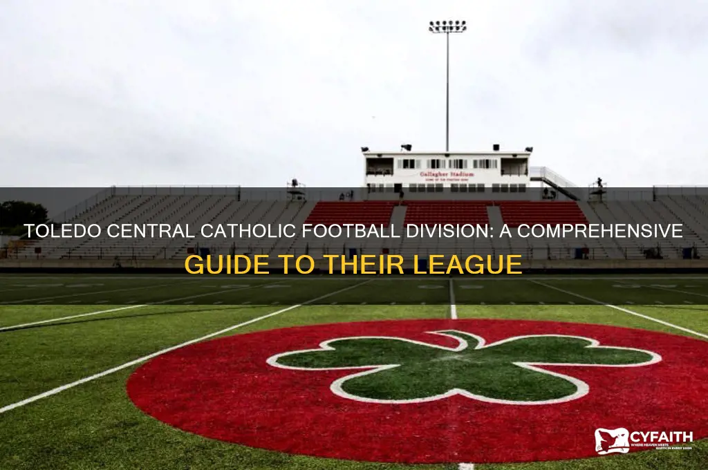 what division is toledo central catholic football