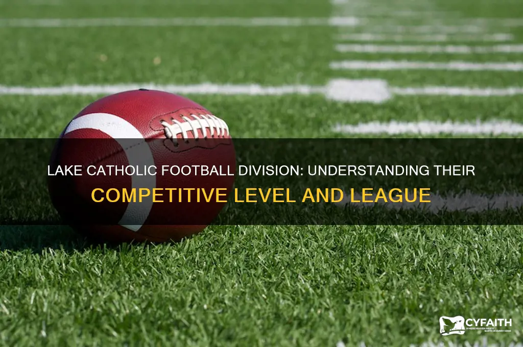 what divison is lake catholic football