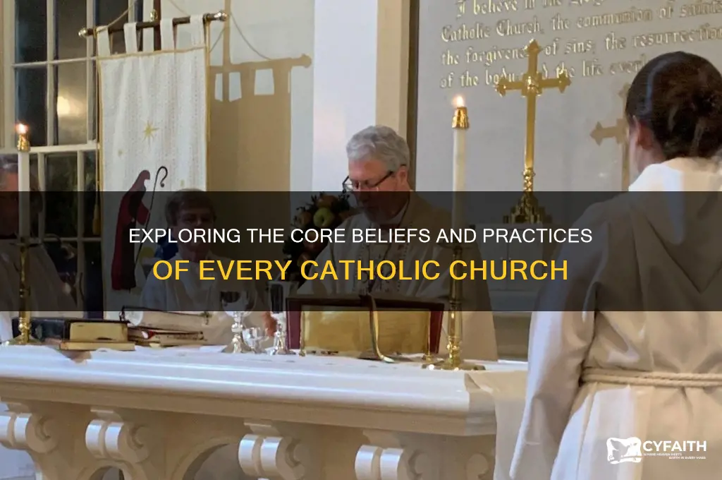 what do all catholic churc