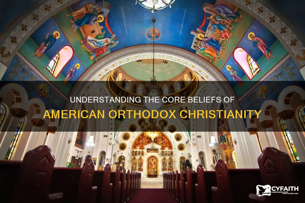 what do american orthodox churches believe