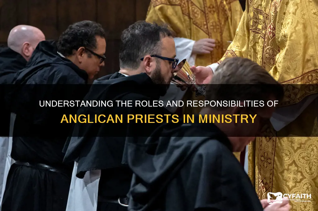 what do anglican priests do