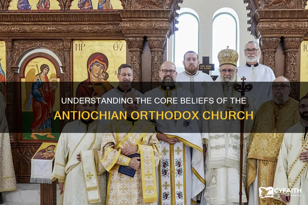 what do antiochian orthodox believe