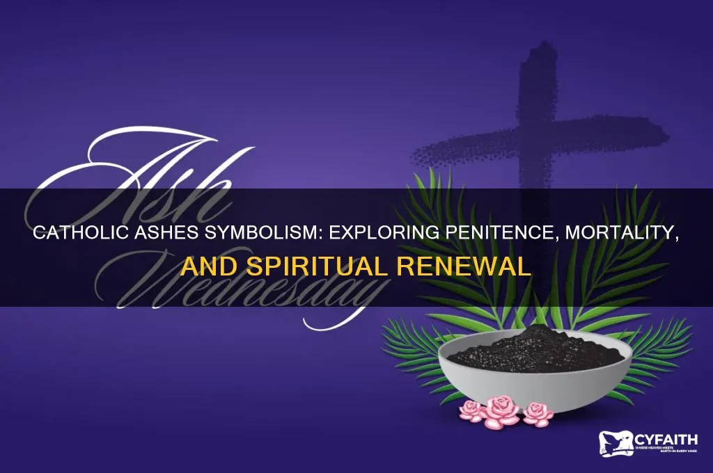 what do ashes symbolize catholic