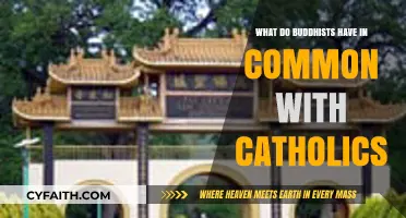 Shared Spiritual Paths: Buddhism and Catholicism's Common Ground Explored