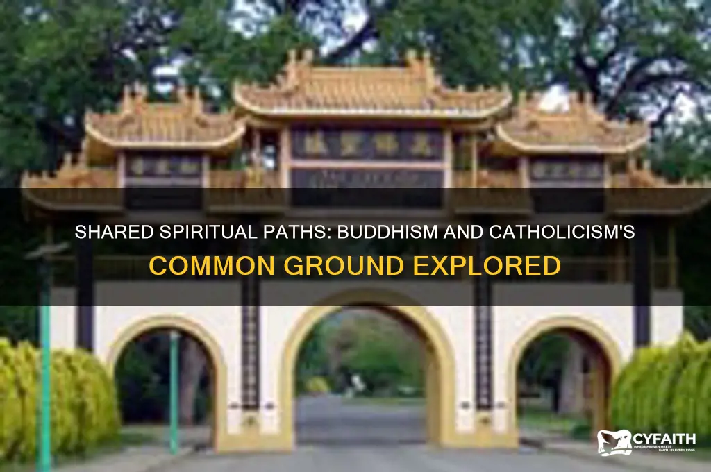 what do buddhists have in common with catholics