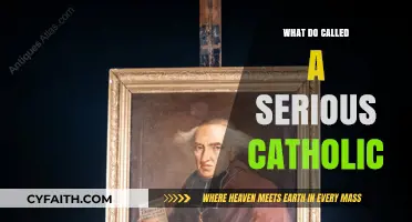 Understanding the Devout: What Defines a Serious Catholic Today