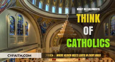 Calvinist Perspectives on Catholicism: Exploring Theological Differences and Commonalities