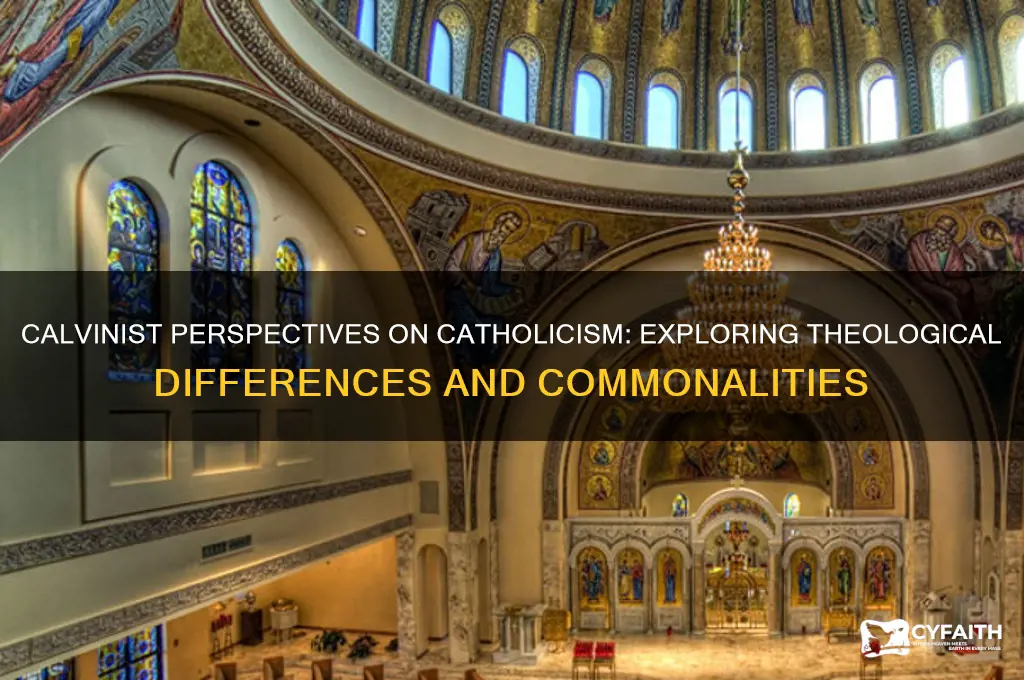 what do calvinists think of catholics