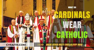 What Do Cardinals Wear in the Catholic Church: A Detailed Guide