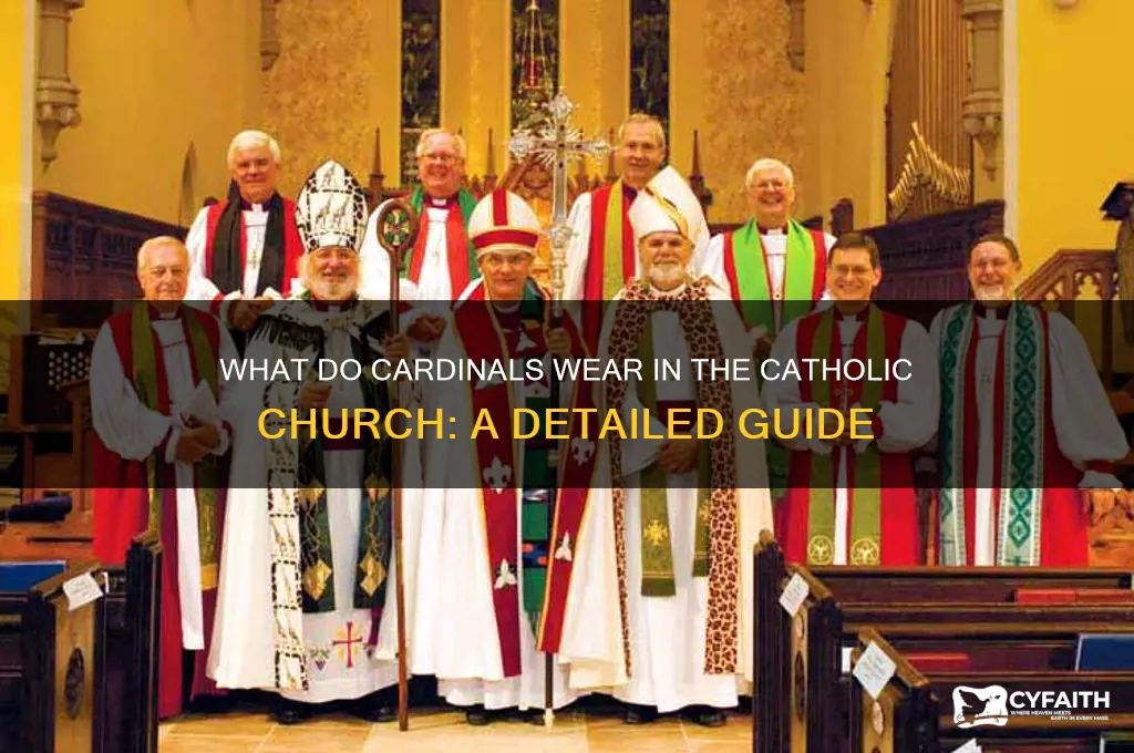 what do cardinals wear catholic