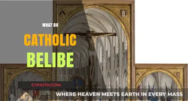 Understanding Core Catholic Beliefs: Faith, Sacraments, and Traditions Explained