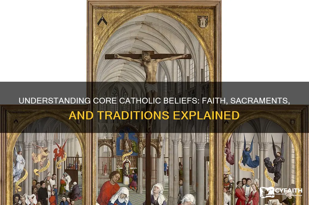 what do catholic belibe