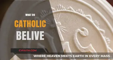 Understanding Core Catholic Beliefs: Faith, Sacraments, and Salvation Explained