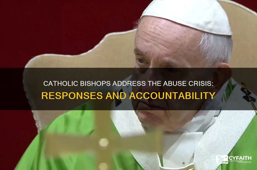 what do catholic bishops say about the abuse crisis