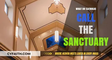Understanding the Catholic Sanctuary: Sacred Space and Its Significance