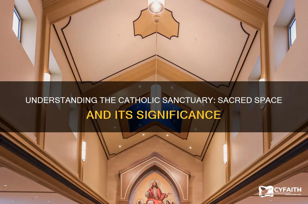 what do catholic call the sanctuary