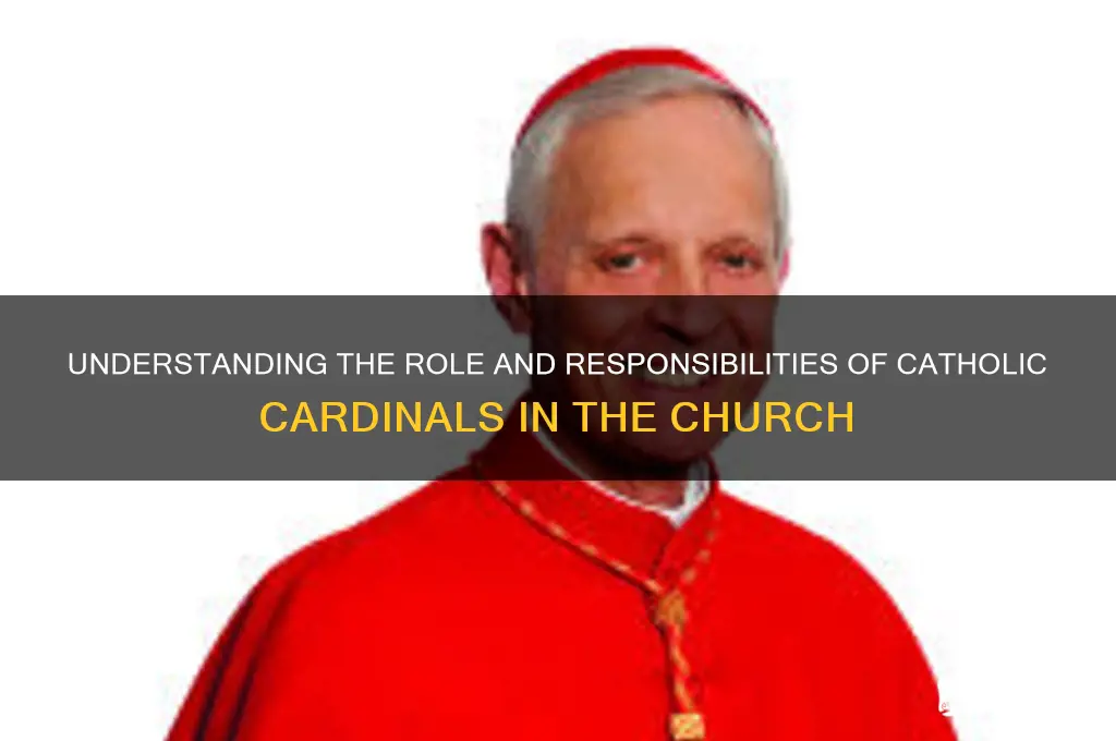 what do catholic cardinals do