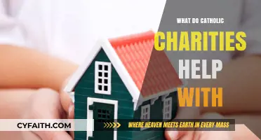Catholic Charities: Addressing Hunger, Poverty, and Community Needs Nationwide