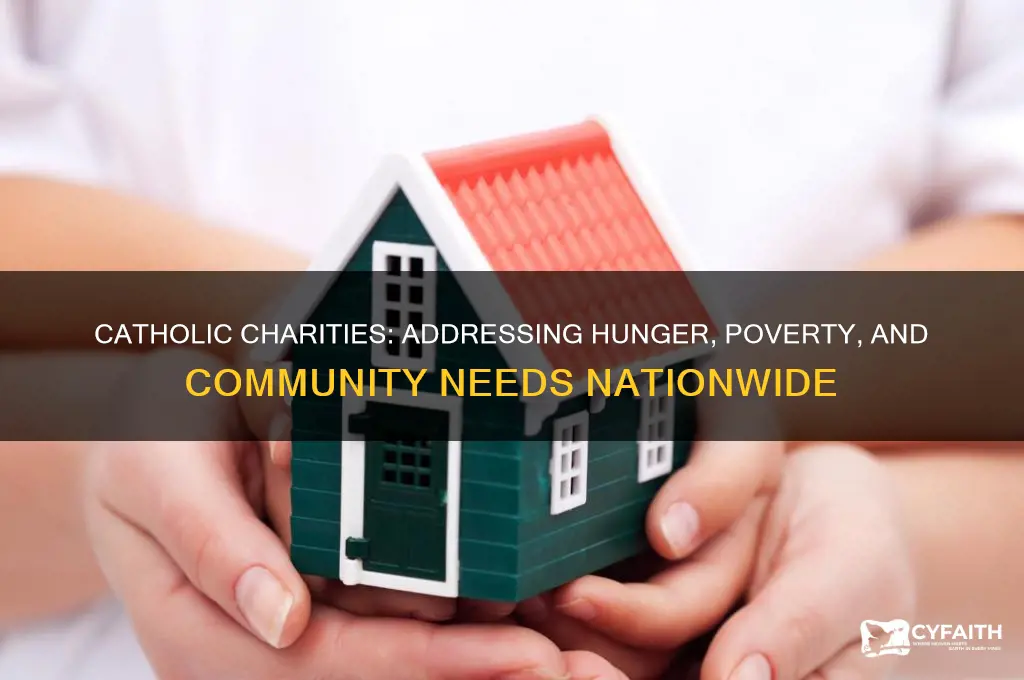 what do catholic charities help with