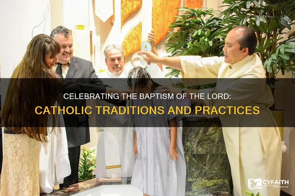 what do catholic do to celebrate baptism of the lord