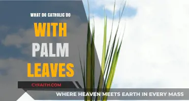 Catholic Palm Sunday Traditions: The Sacred Use of Palm Leaves Explained
