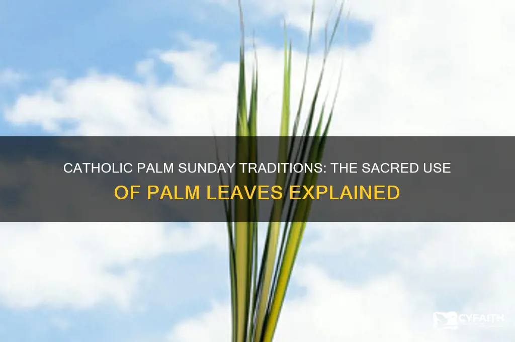 what do catholic do with palm leaves