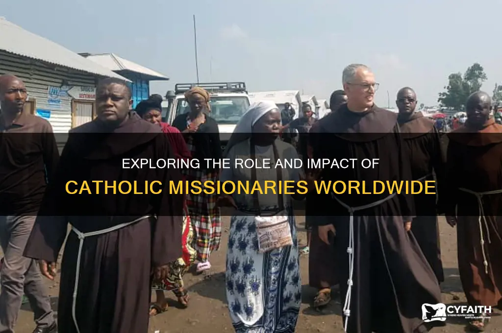 what do catholic missionaires do