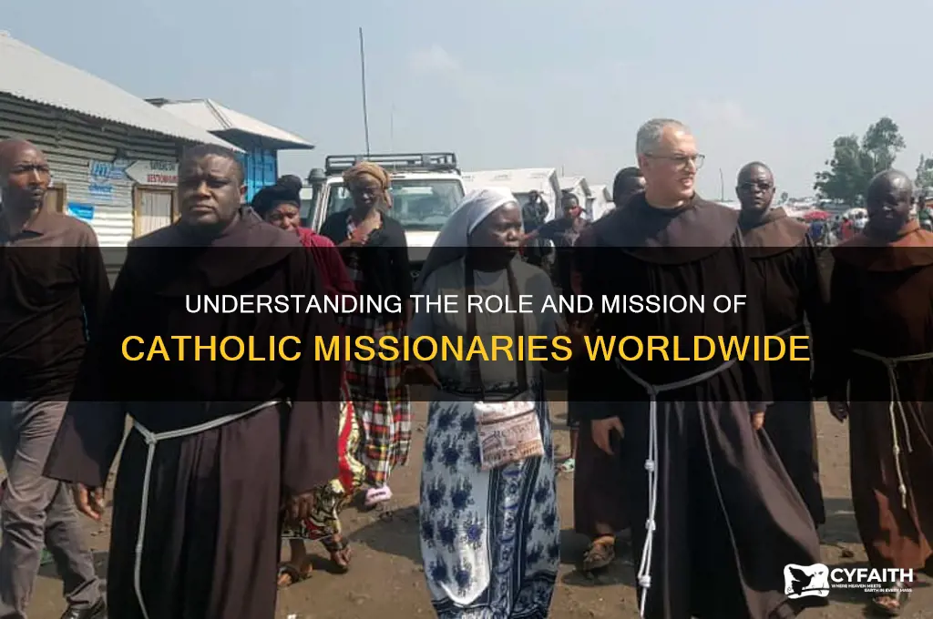 what do catholic missionaries do