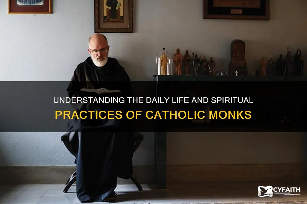 what do catholic monks do