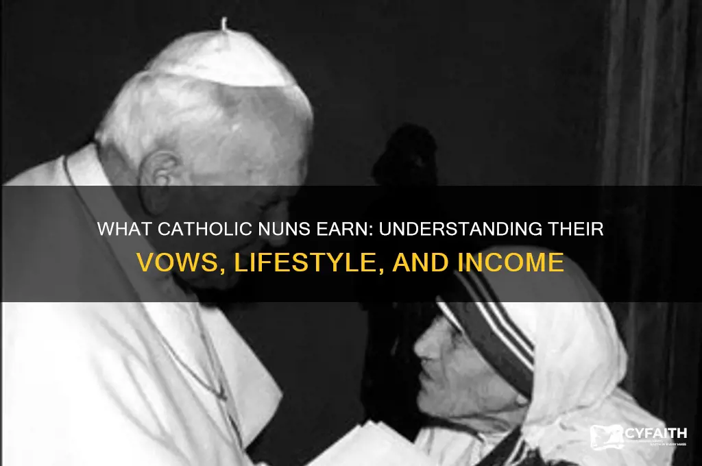 what do catholic nunus make