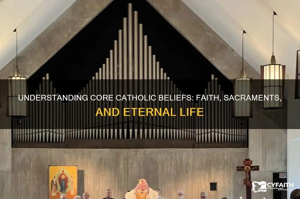 what do catholic people belive in