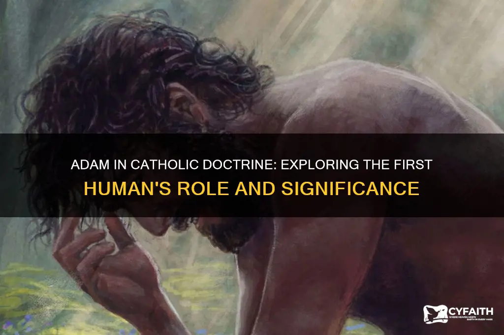 what do catholic religion say about adam first human