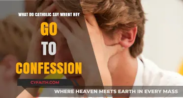 Catholic Confession Guide: Understanding the Words Spoken in Reconciliation