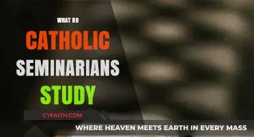Exploring Catholic Seminary Curriculum: Theology, Philosophy, and Spiritual Formation
