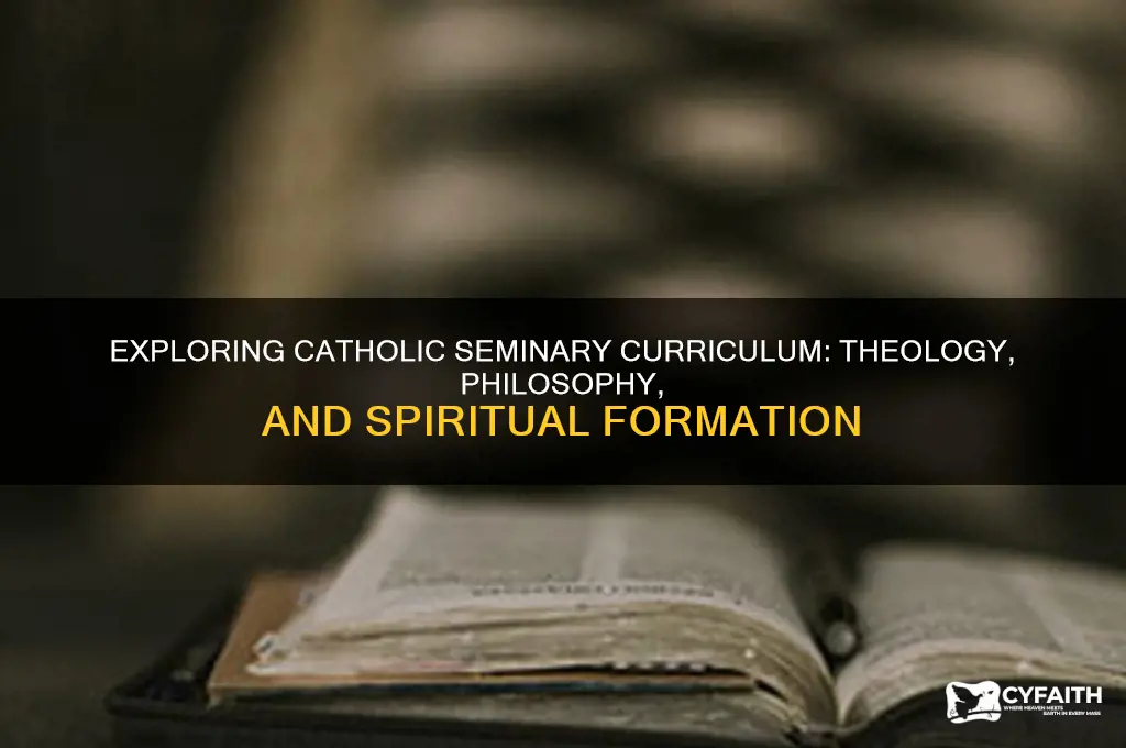what do catholic seminarians study