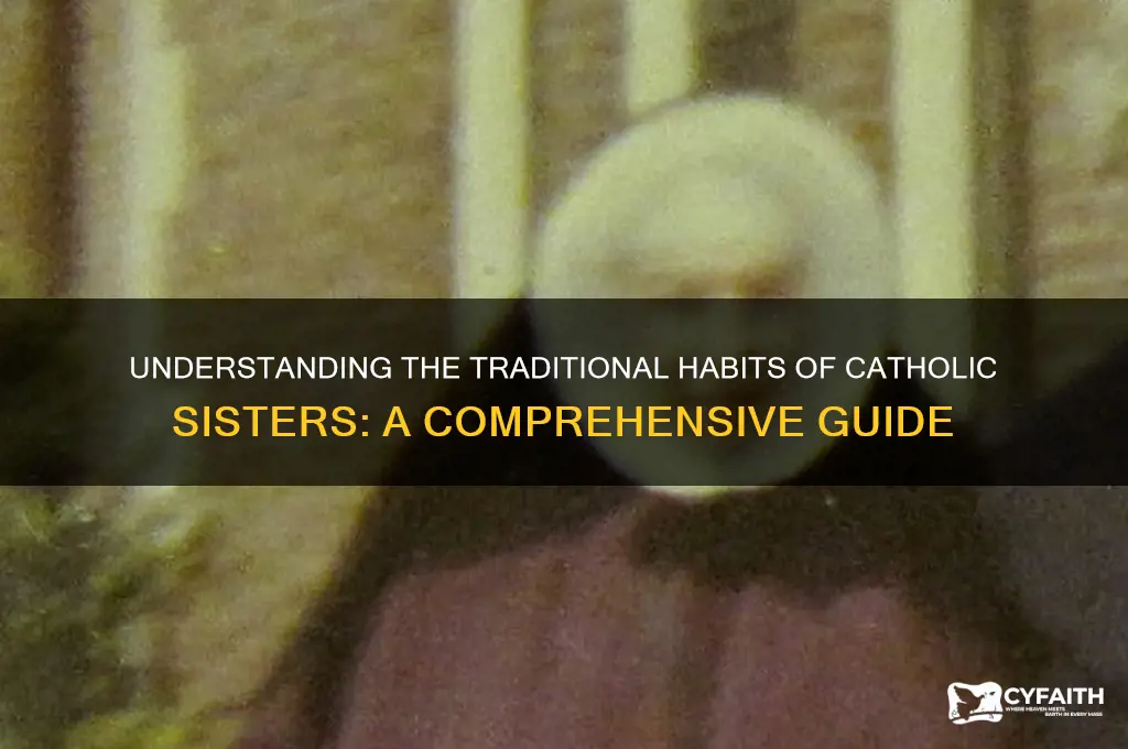 what do catholic sisters wear