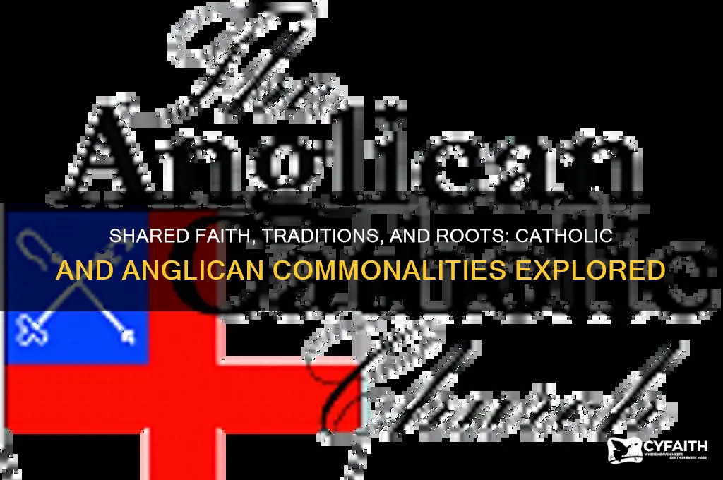 what do catholics and anglicans have in common