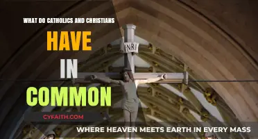 Shared Faith: Exploring Common Ground Between Catholics and Christians