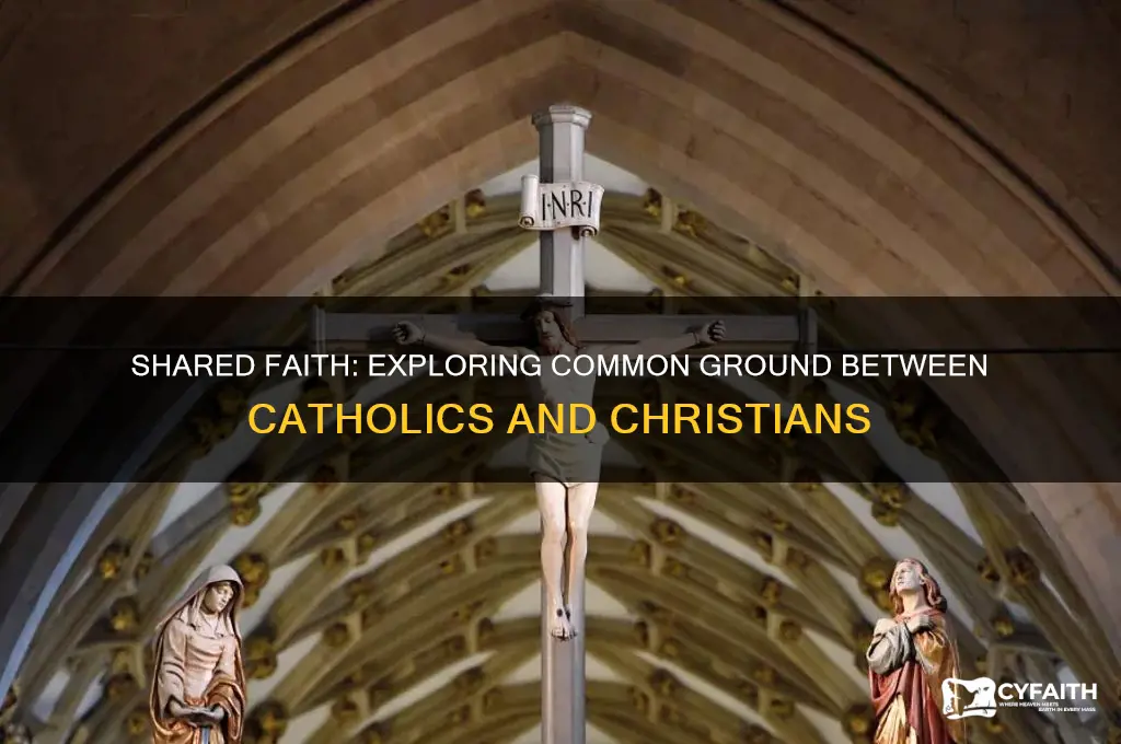 what do catholics and christians have in common