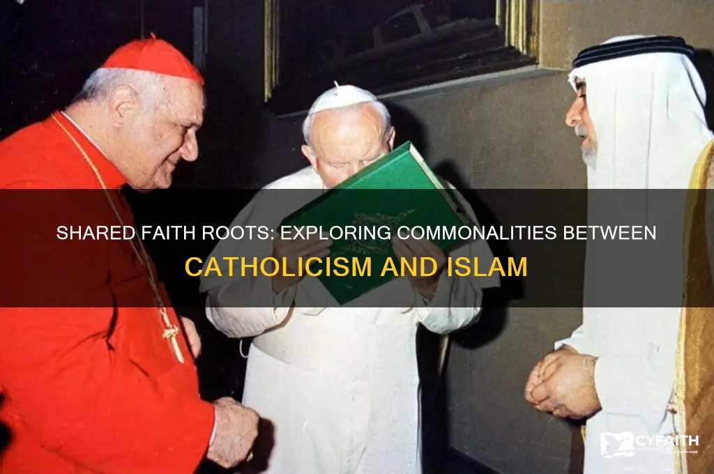what do catholics and muslims have in common