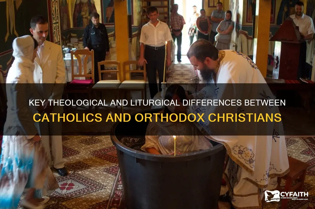 what do catholics and orthodox disagree on