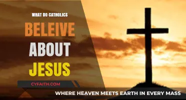 Understanding Catholic Beliefs: Who Jesus Is and His Role in Salvation