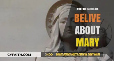 Understanding Catholic Devotion: Mary's Role in Faith and Tradition